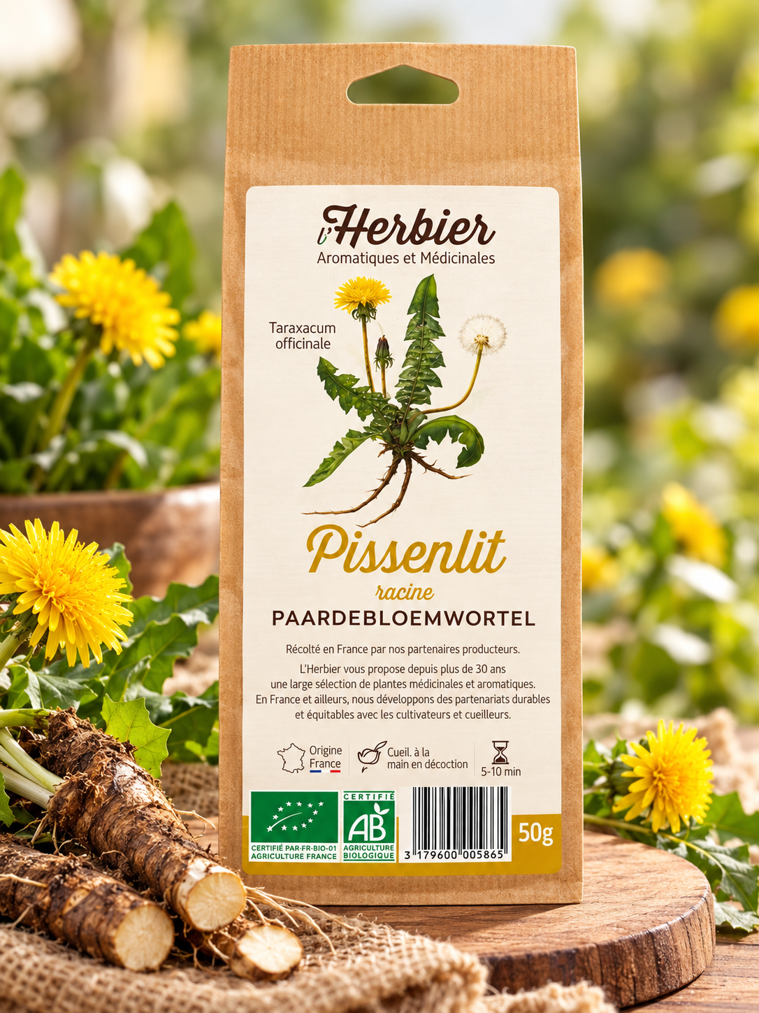 Racine de pissenlit