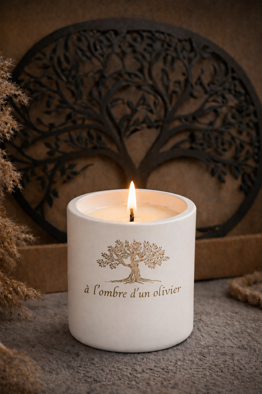 BOUGIE RECHARGEABLE BOIS DE OUD 1 MÈCHE