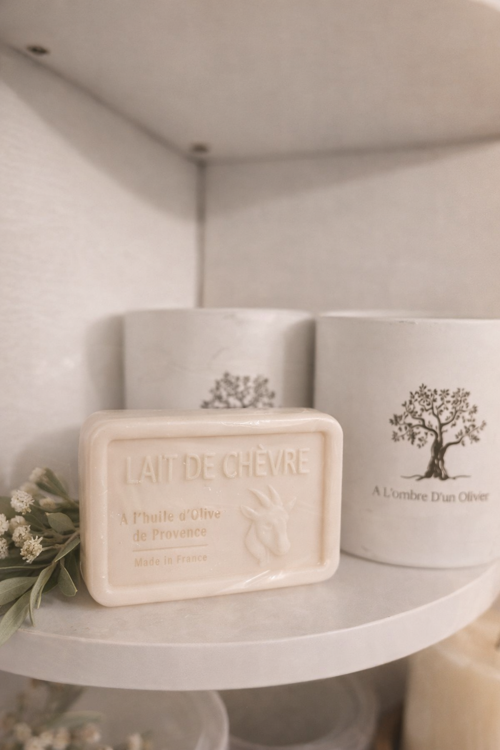 SAVON LAIT DE CHEVRE 110GR