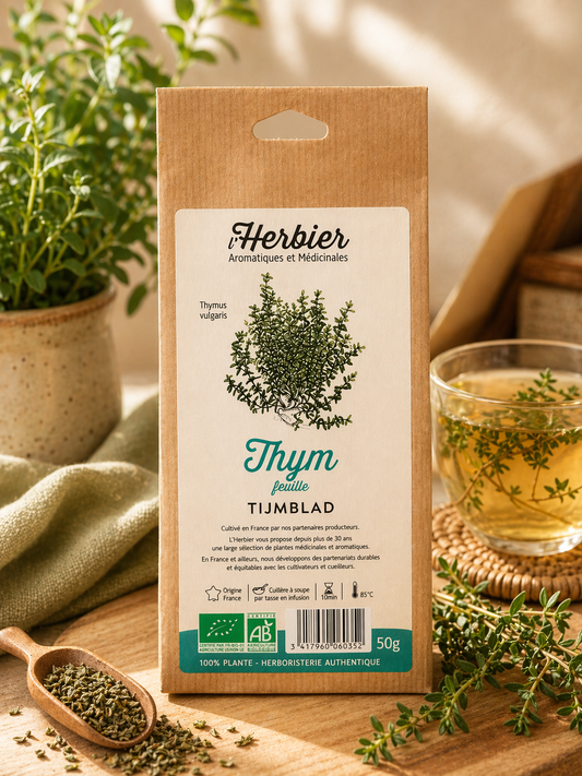 THYM (Feuille)