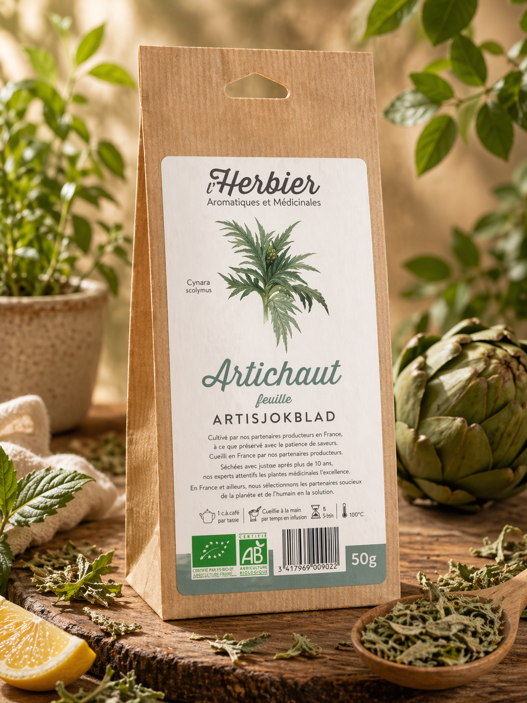 ARTICHAUD ( Feuille)