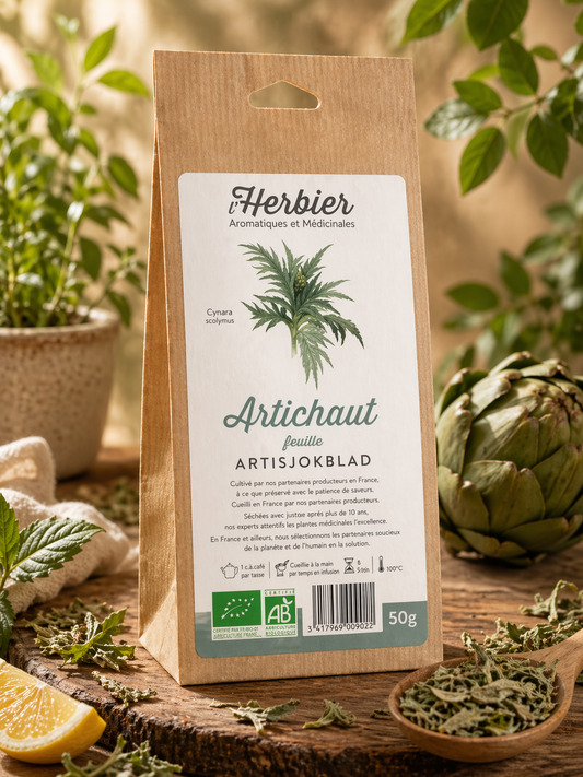 ARTICHAUD ( Feuille)