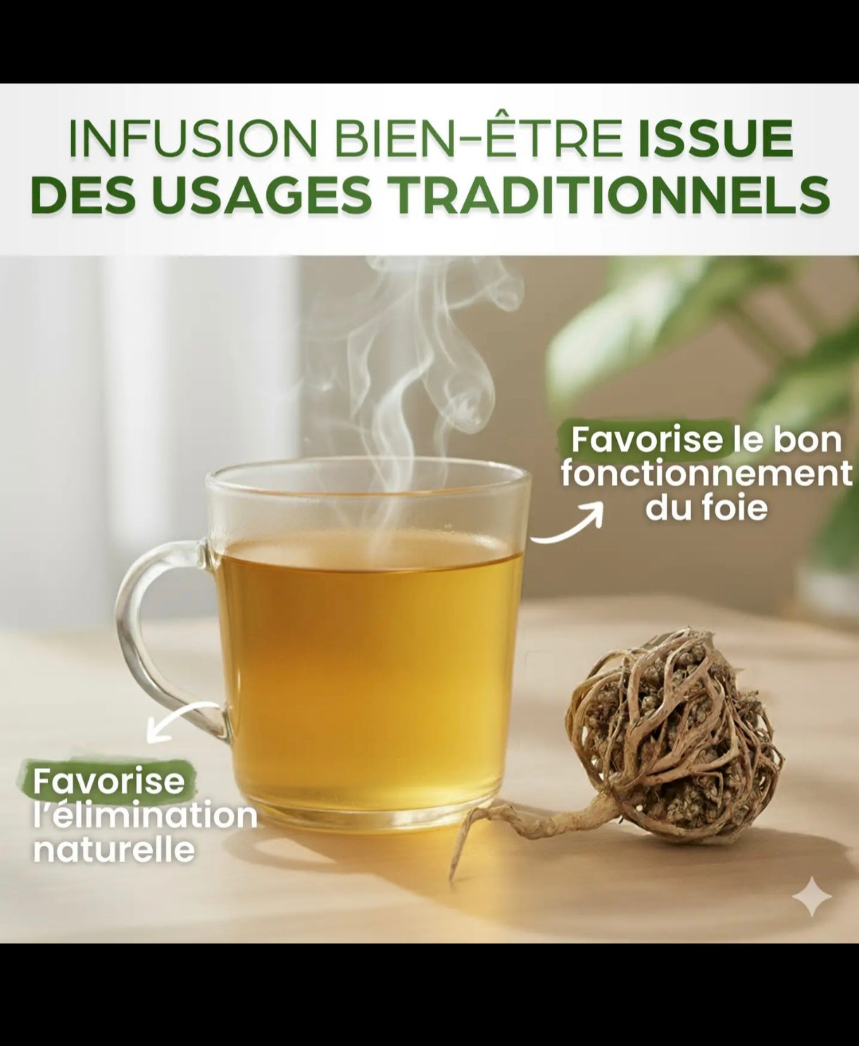 rose de Jéricho/Chajarat Mariam 100 % naturel 70 gr