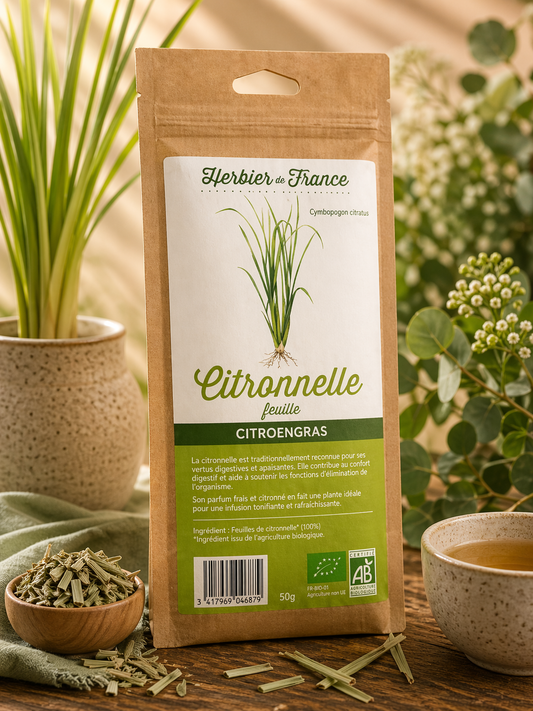 CITRONNELLE (Feuille)