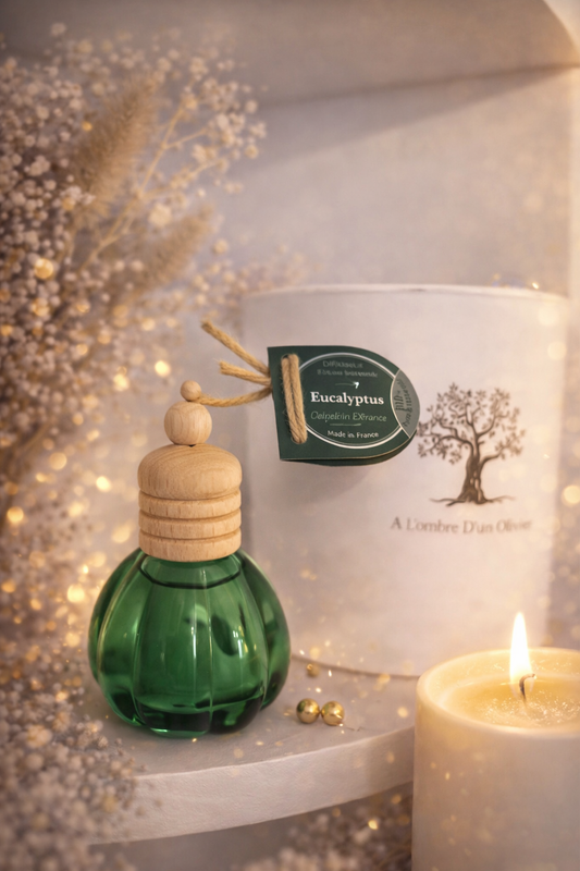 DIFFUSEUR EUCALYPTUS 12ML