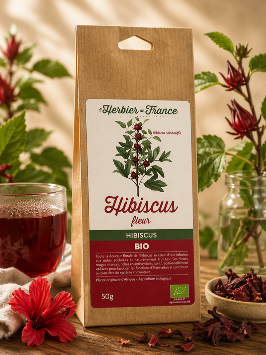 HIBISCUS (Fleurs)