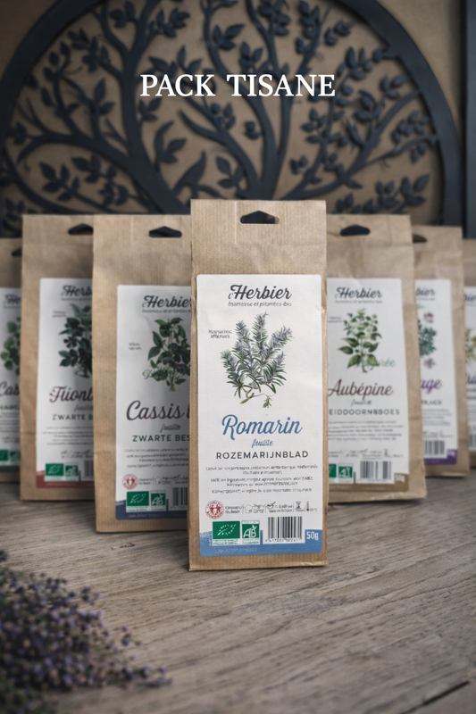 PACK INFUSION BOULIER OFFERT