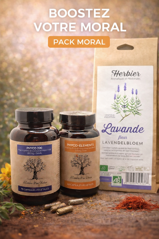 PACK MORAL